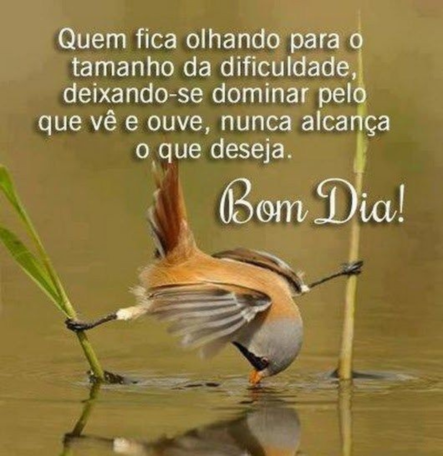 Bom Dia: Imagens Inspiradoras para Compartilhar no WhatsApp